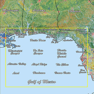 Garmin Gulf Coast Standard Mapping Classic