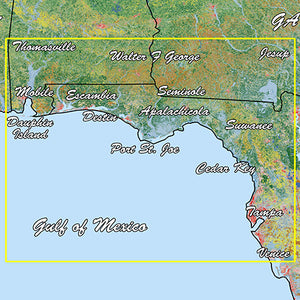 Garmin Emerald Coast Standard Mapping Professional